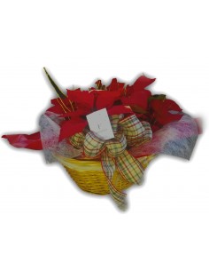 Poinsettia Basket