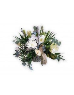 Relaxing Gaze Basket