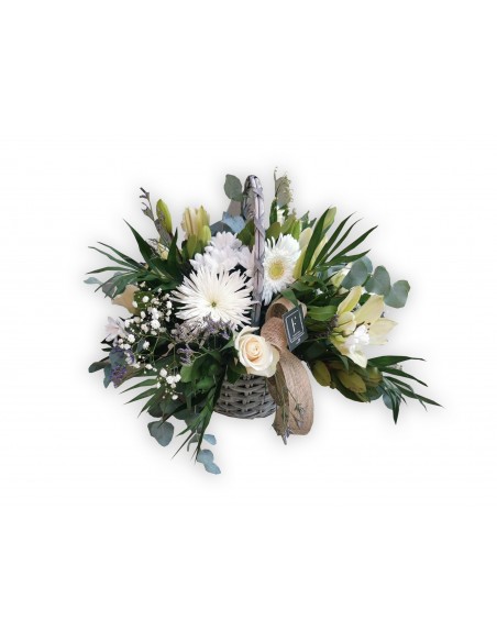 Relaxing Gaze Basket