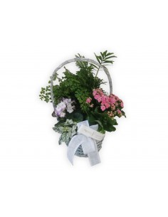 Lucia's plant basket