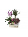 Basket of plants with orchids