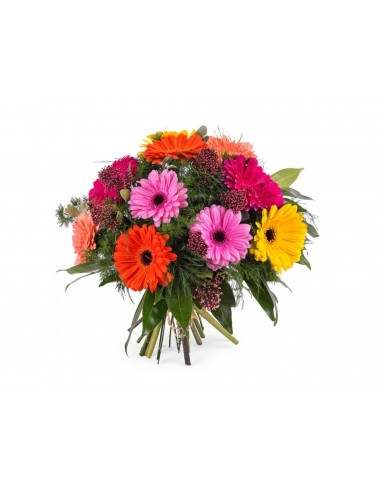 Ramo Gerberas Variadas