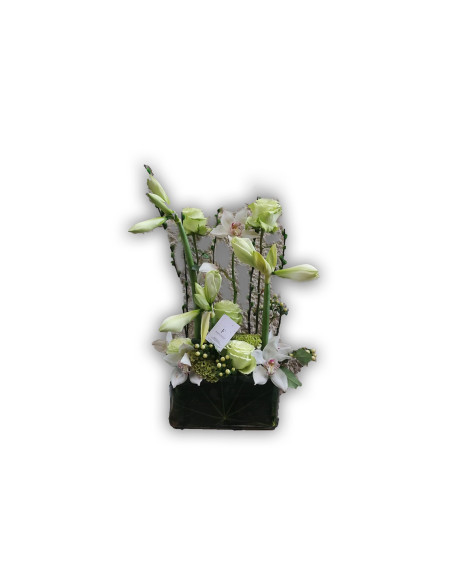 Elongated ceramic base with amaryllis