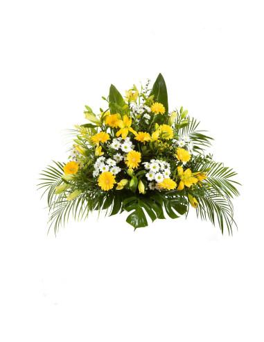 Funeral Center 3