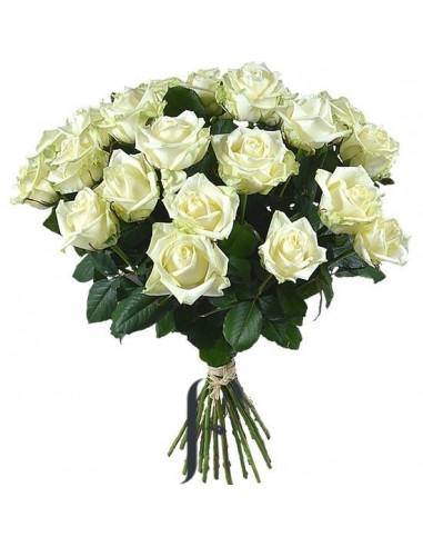 Bouquet 6 White Roses