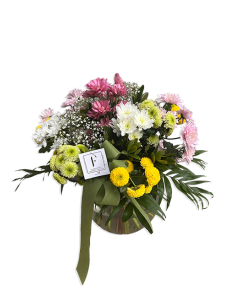 Strauß weißer Gänseblümchen