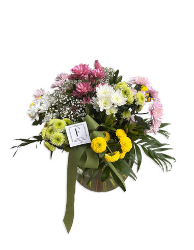 Strauß weißer Gänseblümchen